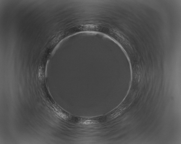 X0000082970467200702230011