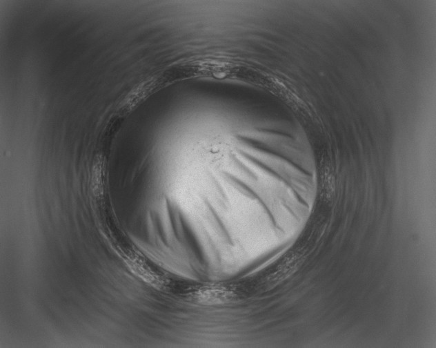 X0000082970468200702230011