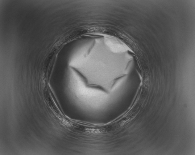 X0000082970469200702230011