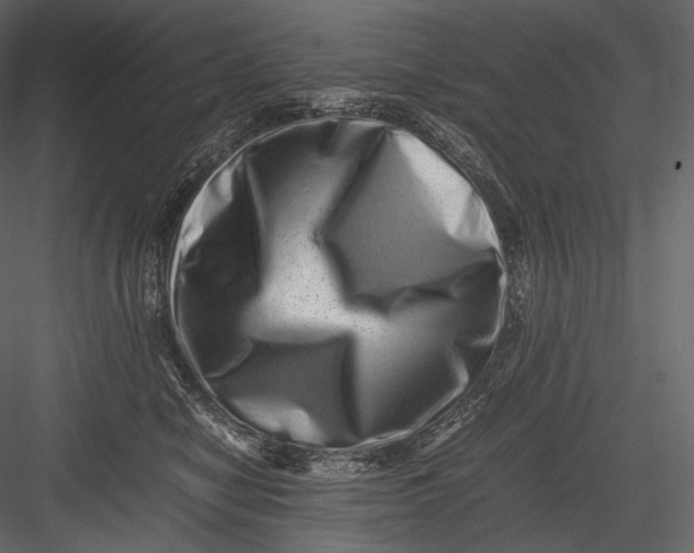 X0000082970470200702230011