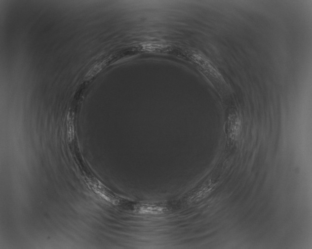 X0000082970471200702230011