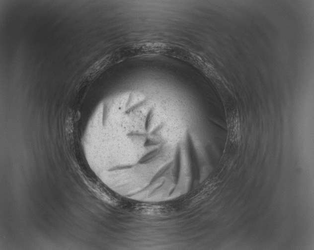 X0000082970472200702230012