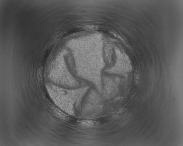 X0000082970473200702230012