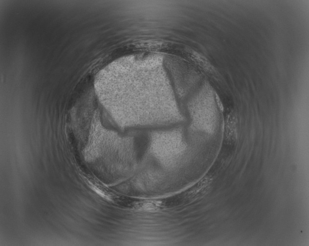 X0000082970474200702230012