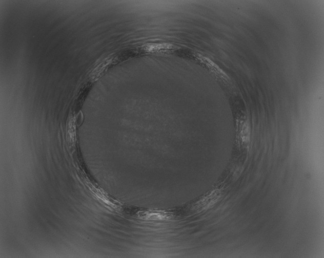 X0000082970475200702230012