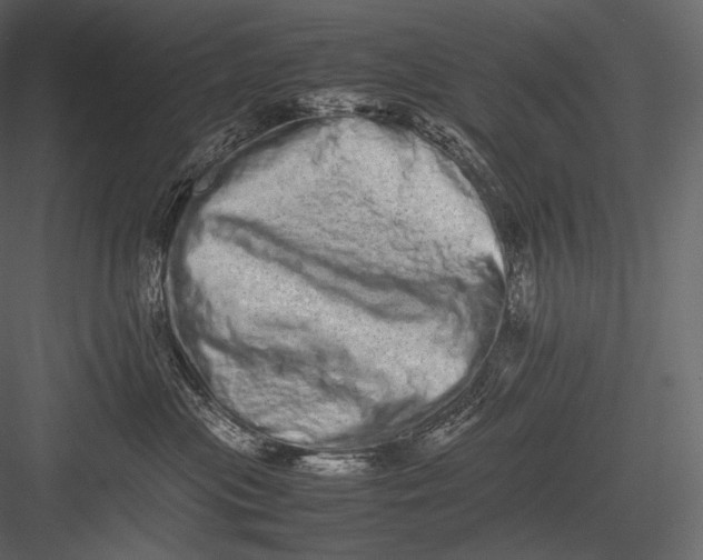 X0000082970477200702230012