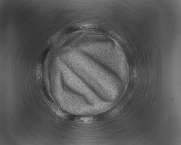 X0000082970478200702230012