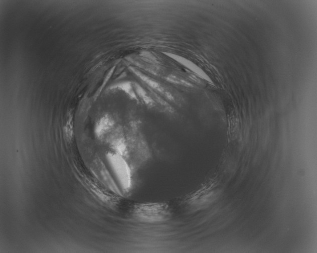 X0000082970479200702230012