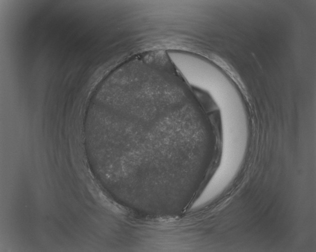 X0000082970481200702230011