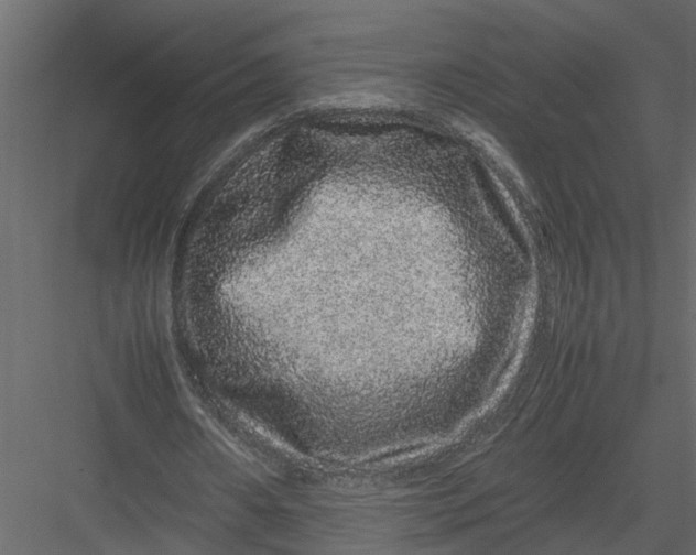 X0000082970482200702230011