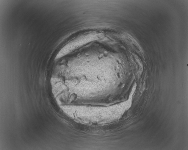 X0000082970483200702230011