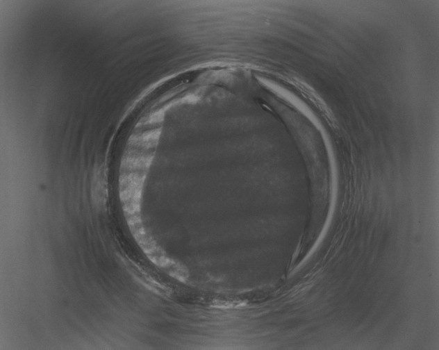 X0000082970484200702230011