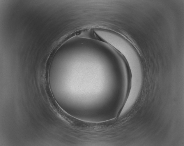 X0000082970485200702230011