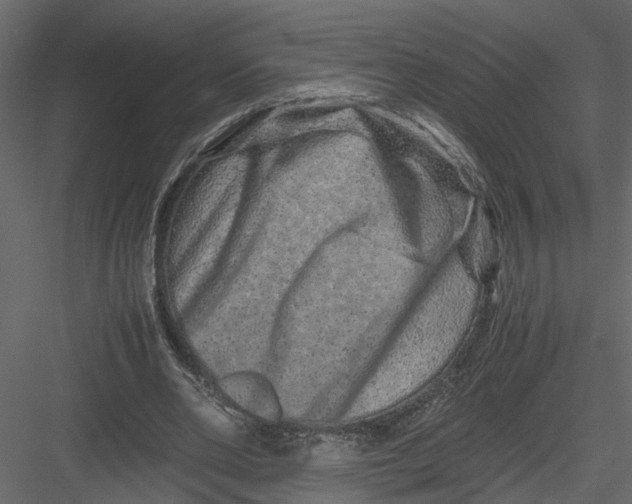 X0000082970486200702230011