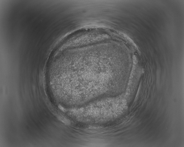 X0000082970487200702230011