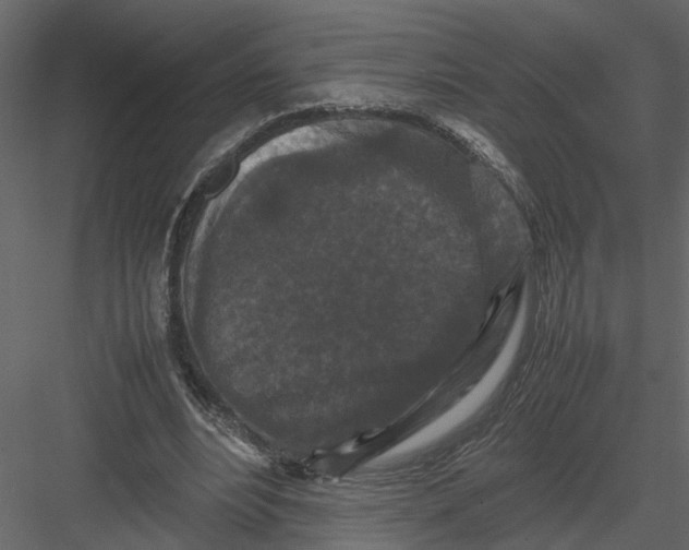 X0000082970488200702230011