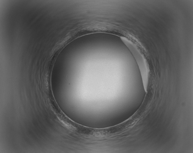 X0000082970489200702230011