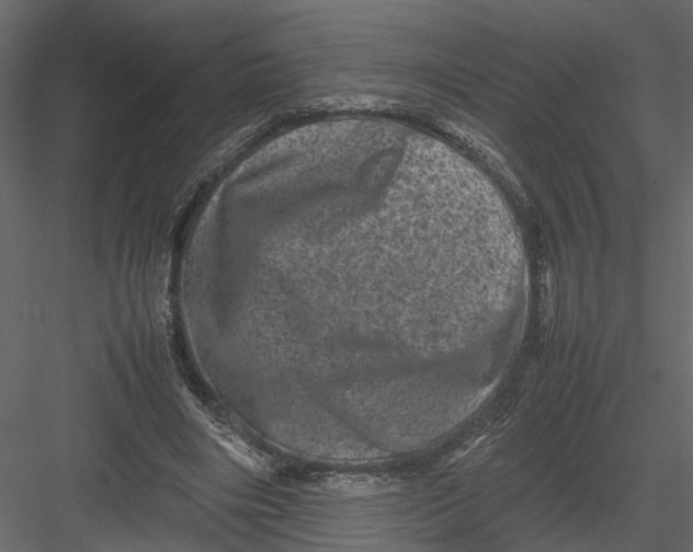 X0000082970490200702230011