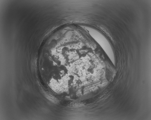 X0000082970491200702230011