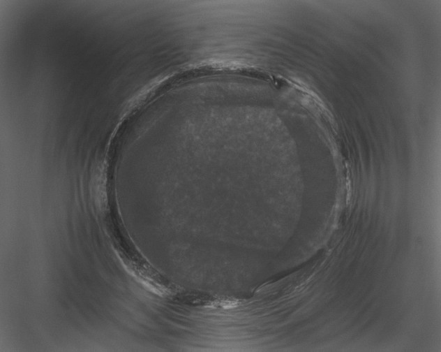 X0000082970492200702230011