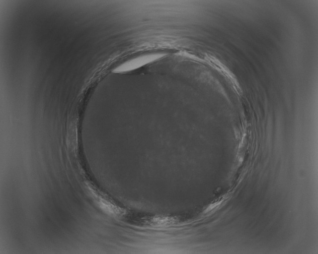 X0000082970493200702230011