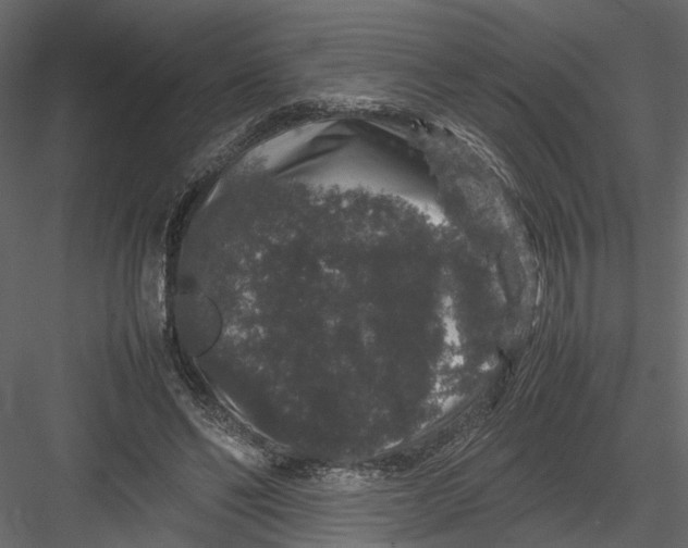 X0000082970494200702230011