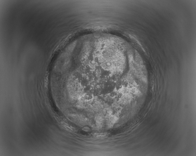 X0000082970495200702230011