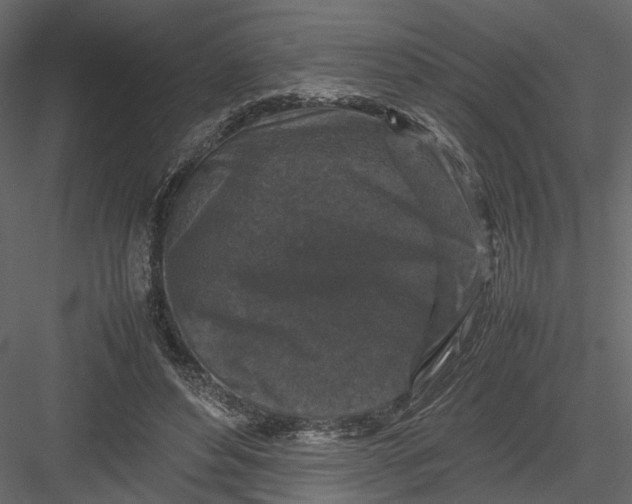 X0000082970496200702230011