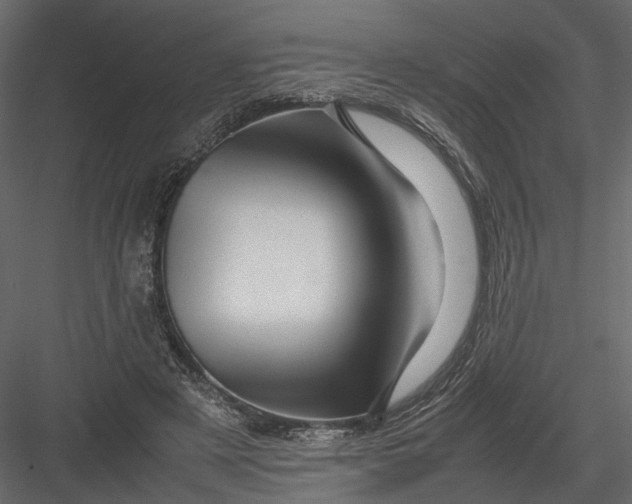 X0000082970497200702230011