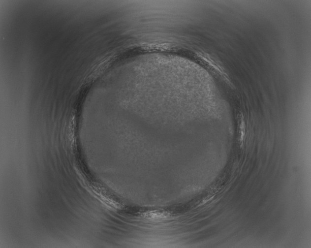 X0000082970498200702230011