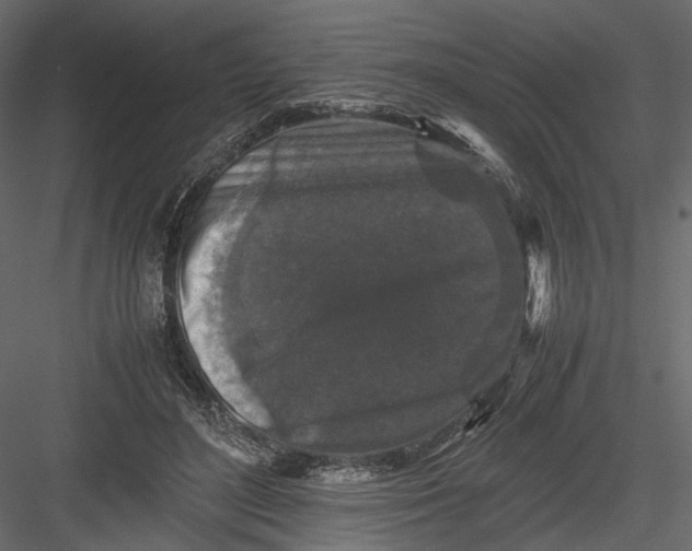 X0000082970500200702230010