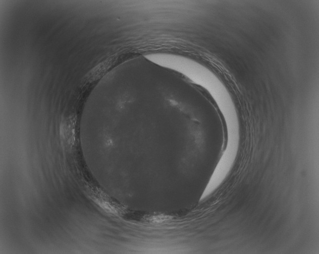 X0000082970501200702230010