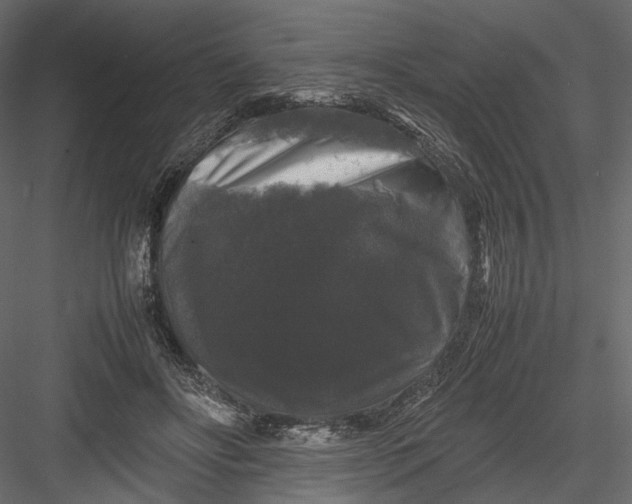 X0000082970502200702230010