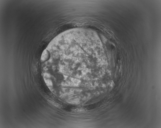 X0000082970503200702230010