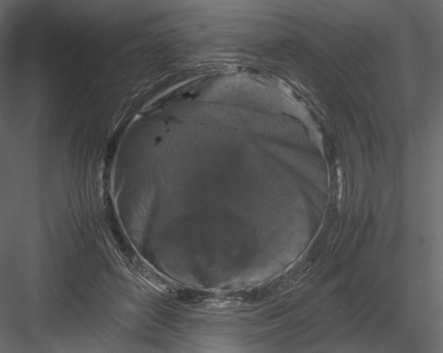 X0000082970504200702230010