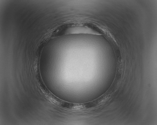 X0000082970505200702230010