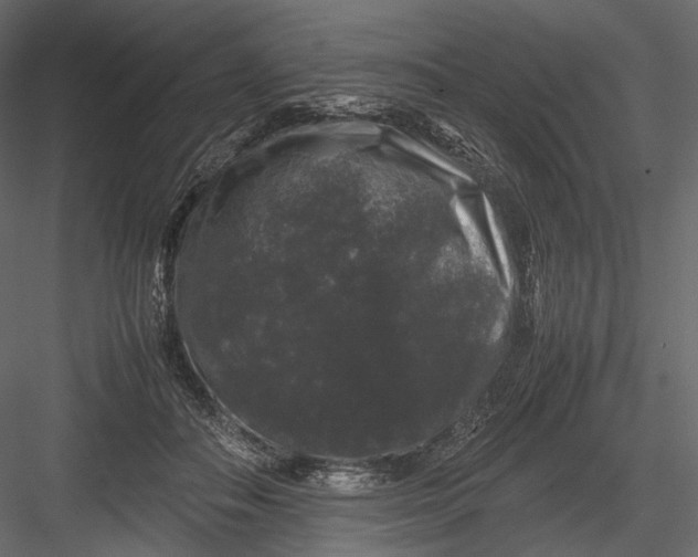 X0000082970506200702230010