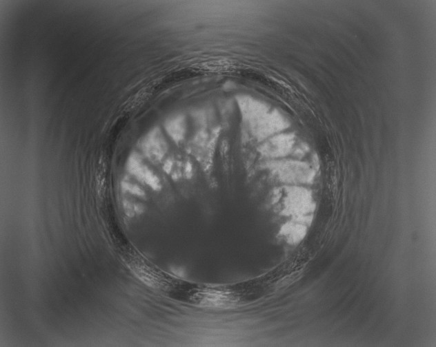 X0000082970507200702230010