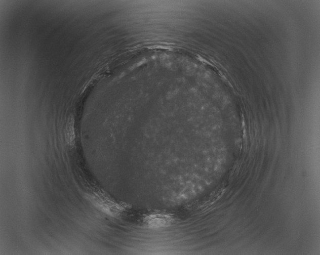 X0000082970508200702230010