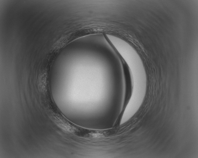 X0000082970509200702230010