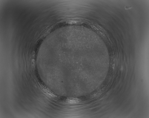 X0000082970510200702230010