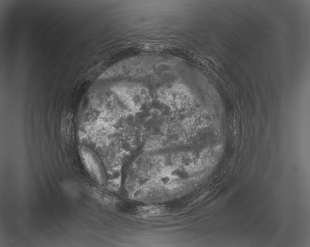 X0000082970511200702230010