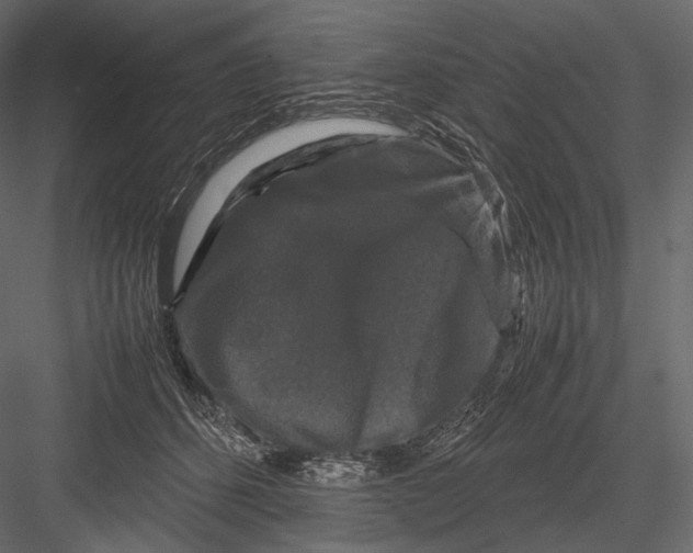 X0000082970512200702230010