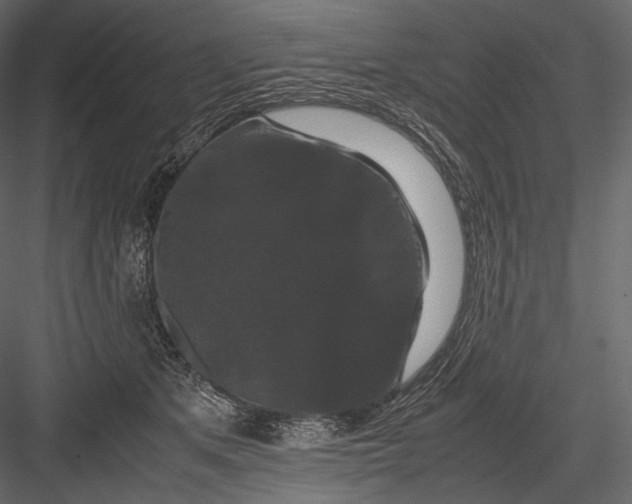 X0000082970513200702230010