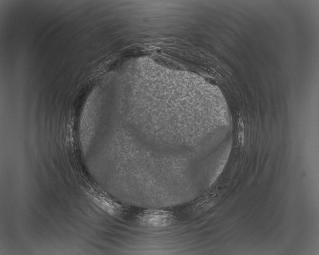 X0000082970514200702230010