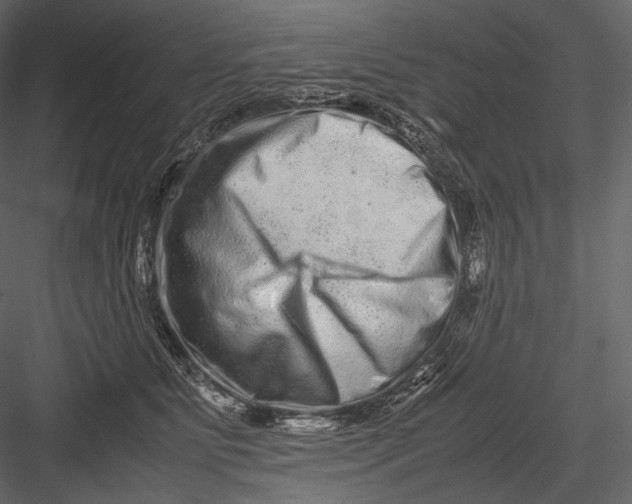 X0000082970515200702230010