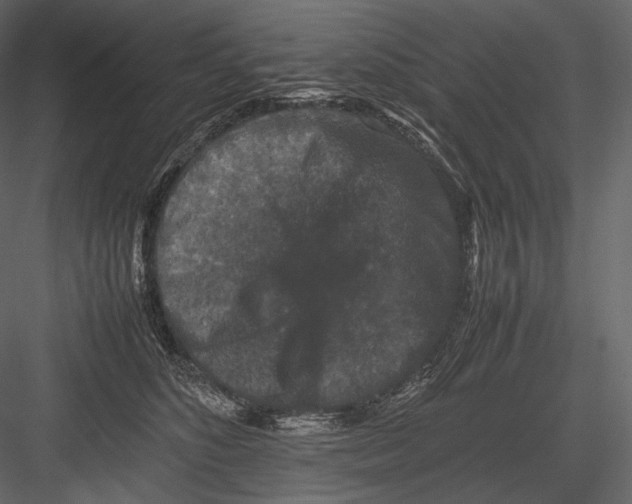 X0000082970516200702230010