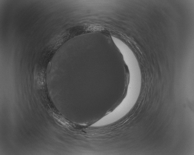 X0000082970517200702230010