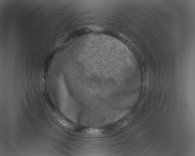 X0000082970518200702230010