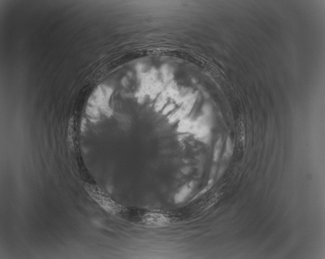 X0000082970519200702230010